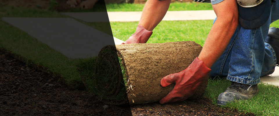 Crothersville Landscapers